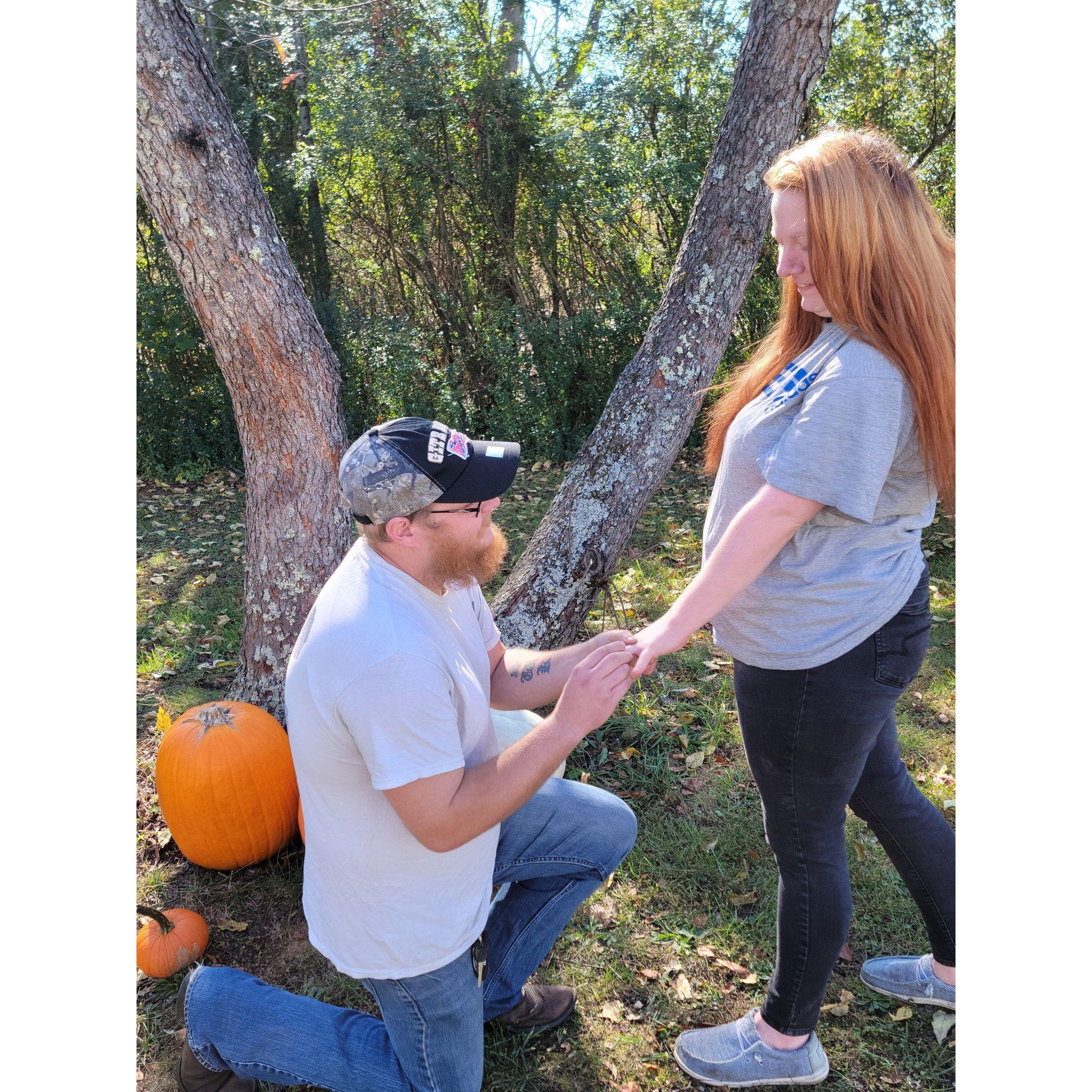 When Stephen Proposed