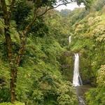 🌿 Rainforest & Waterfall Adventure