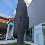 Tampa Museum of Art