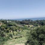 Hiking
