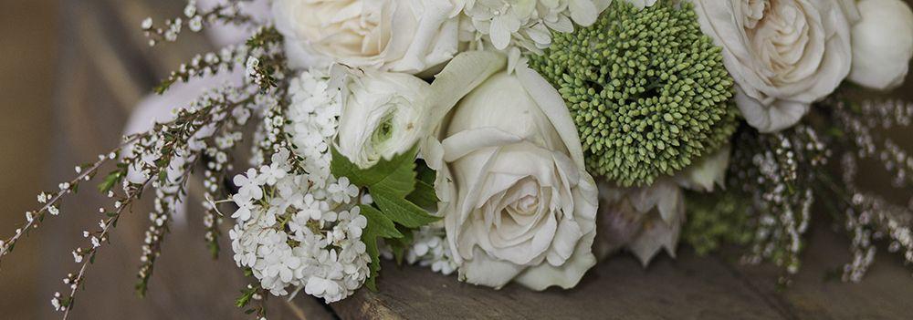 The Wedding Website of Emilie Berge Boyd and Ethan James Boyd
