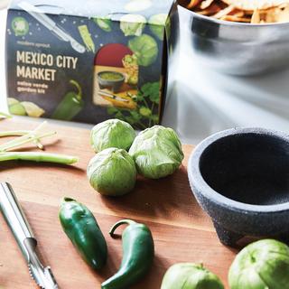 Mexico City Market Garden Kit