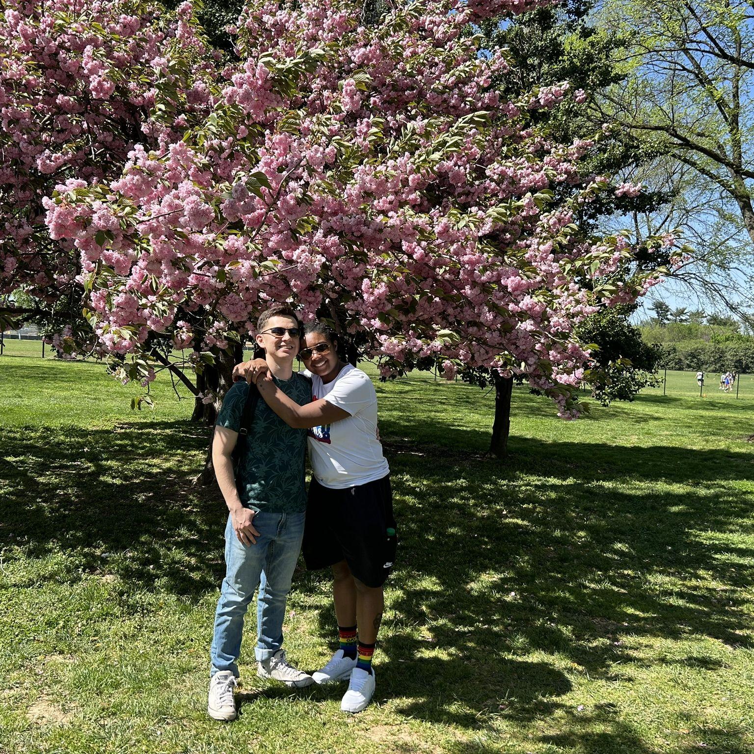 Our first cherry blossom festival!