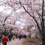 High Park