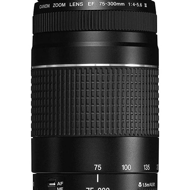 Canon EF 75-300mm f/4-5.6 III Telephoto Zoom Lens for Canon SLR Cameras
