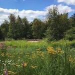 University of Wisconsin Madison Arboretum Visitor Center