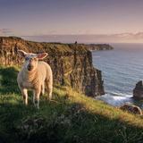 Cliffs of Moher