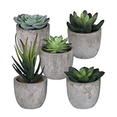 Sophia's Garden Set of 5 Artificial Succulent Plants with Pots – Realistic Greenery Mini Potted Faux Plant Arrangements | for Home Office Decor, Dorm Room, Bathroom, Kitchen Table Centerpieces
