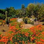 Clovis Botanical Garden