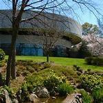 The Carter Center