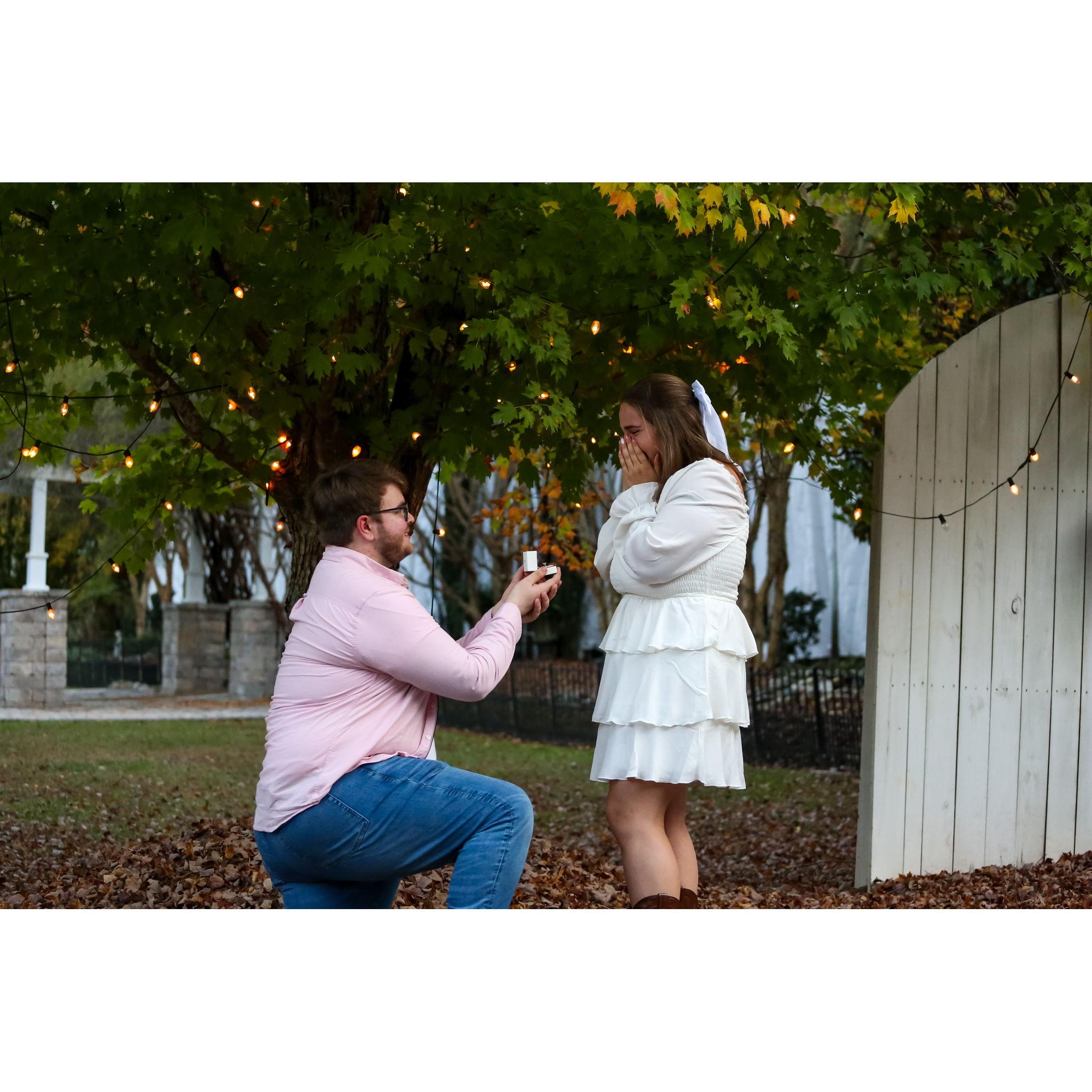 And I said yes!