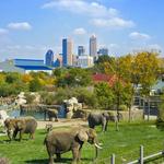 Denver Zoo