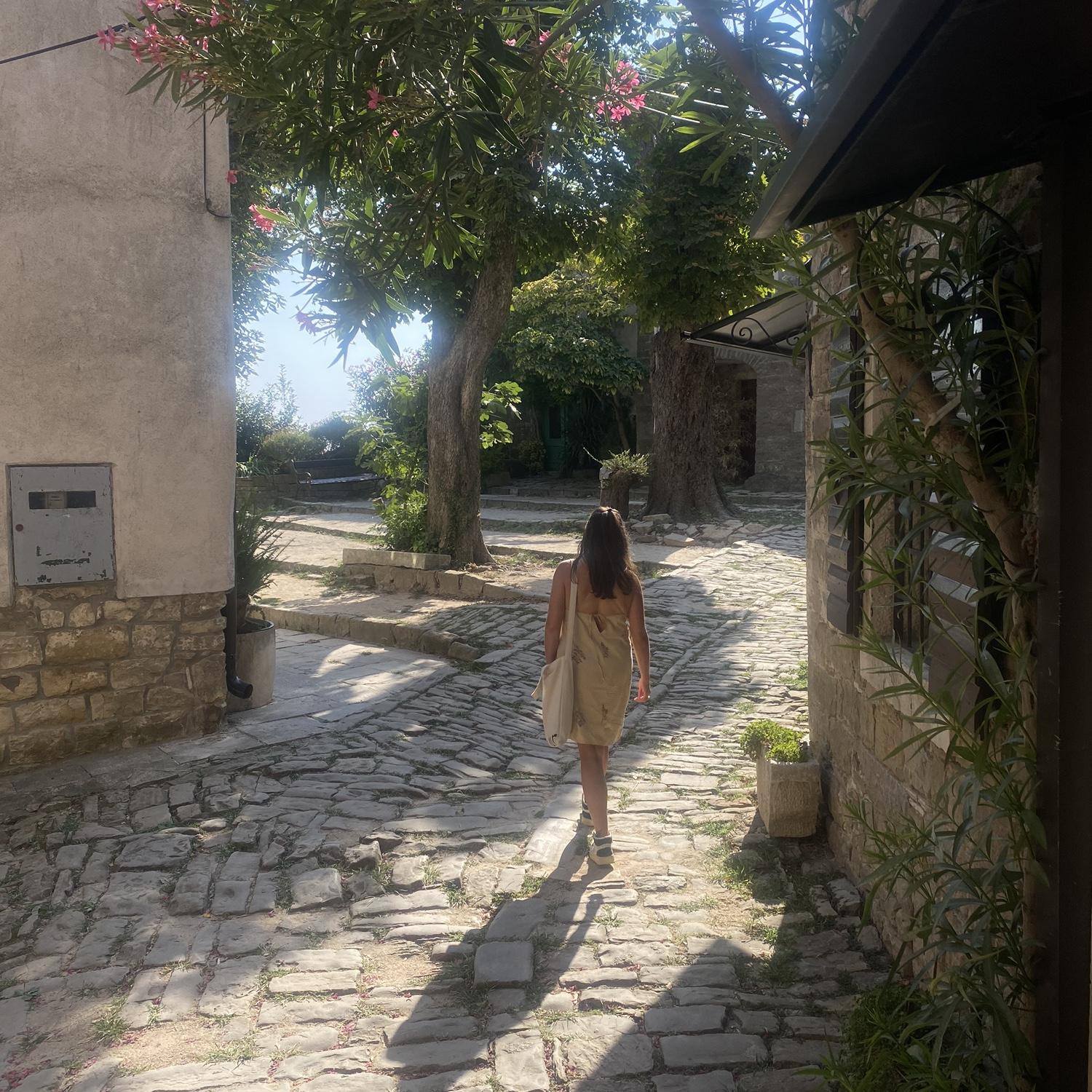 Spotted in Grožnjan, Croatia.