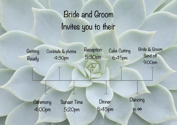 The Wedding Website of Haley Schnack and Kevin Fleming