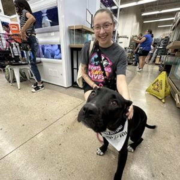Sponsor a Shelter Pet Adoption!