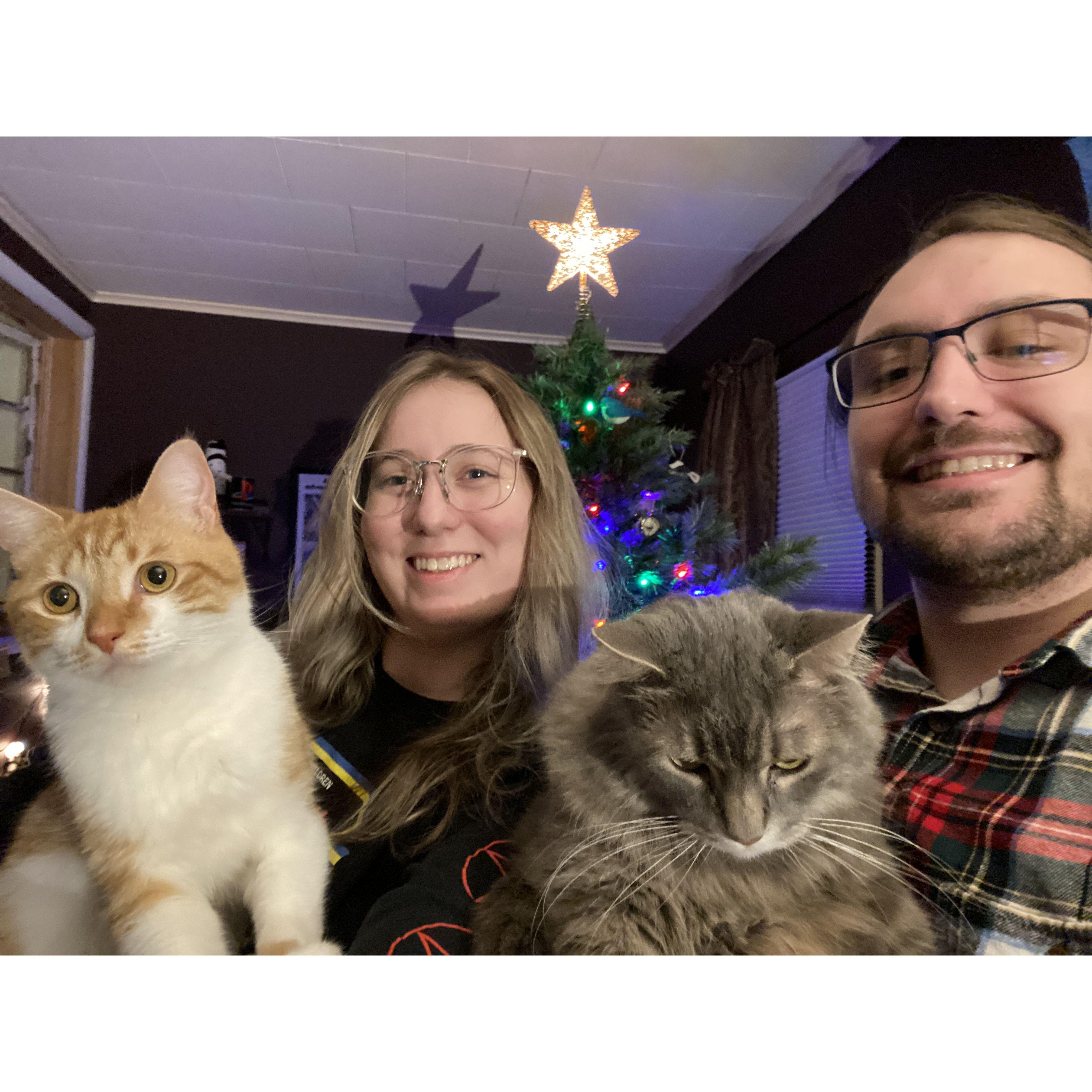 The next addition to our family - Pippin!