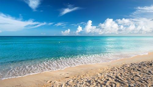 The Wedding Website of Alex Doll and Harry Pershing