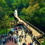 Hillsborough Riverwalk