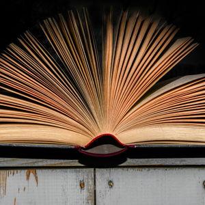 Your favorite book