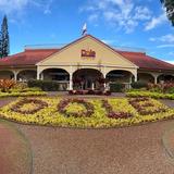 Dole Plantation