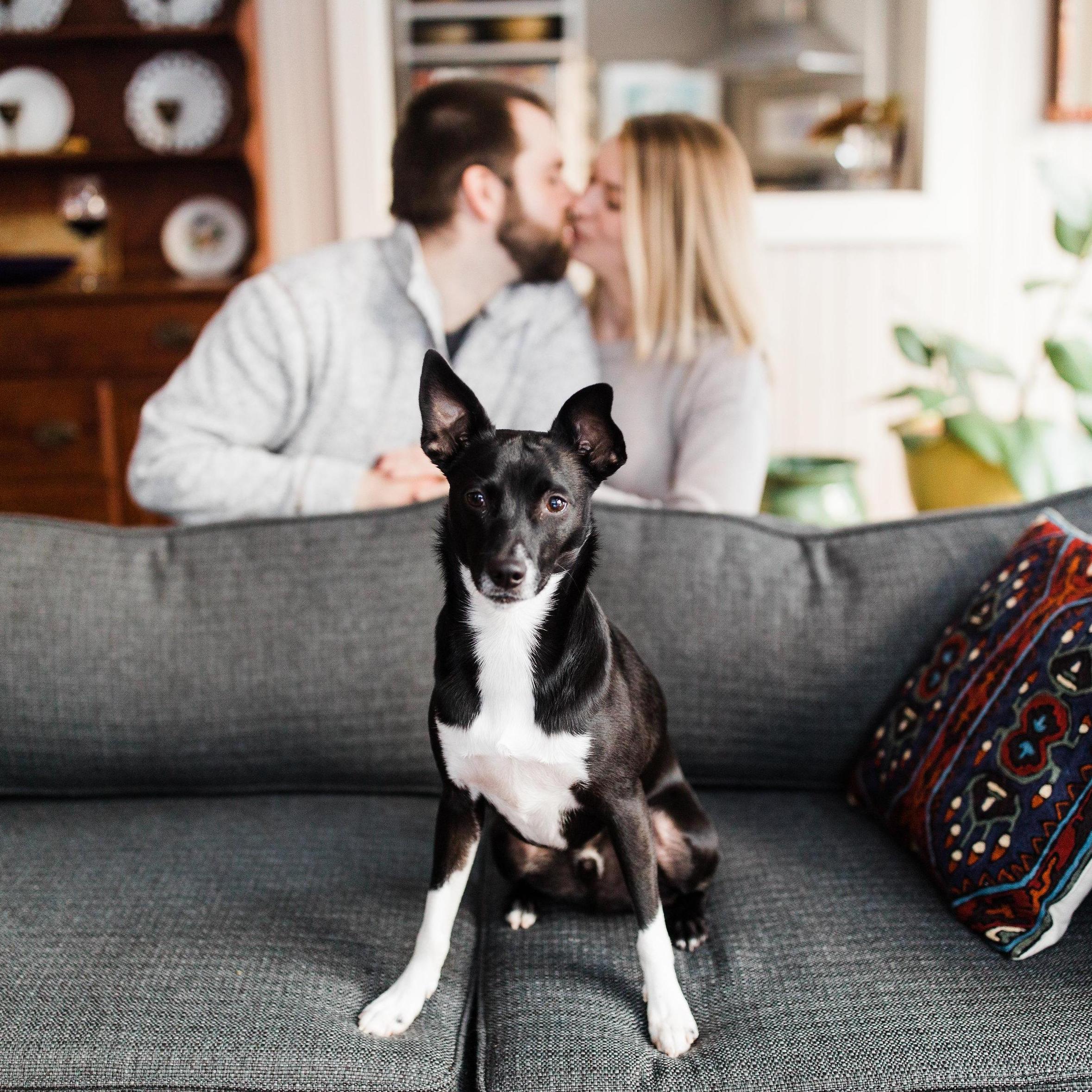 2017 - Engagement Pictures with our pup, Beau.