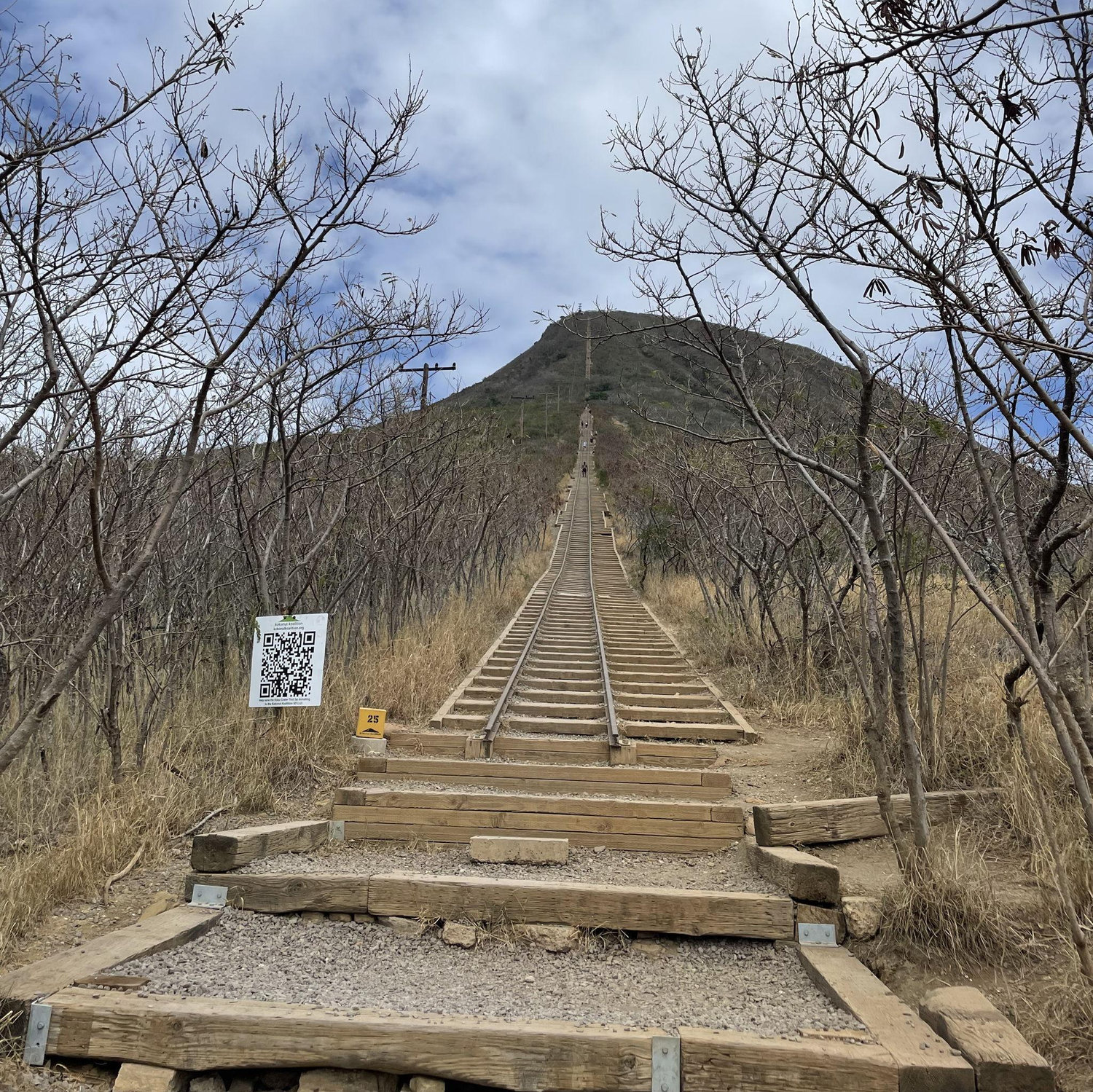March 30th 2024- Koko Head Crater  Trail - just a hike on our 2nd day in Oahu, Hawaii... or so Leslie thought...