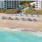 Visit the Beach