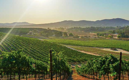 The Wedding Website of Ryan Keithley and Reggie Toledo