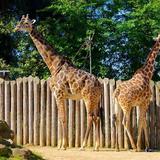 Sacramento Zoo