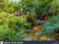 The Key West Butterfly and Nature Conservatory