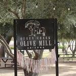 Queen Creek Olive Mill