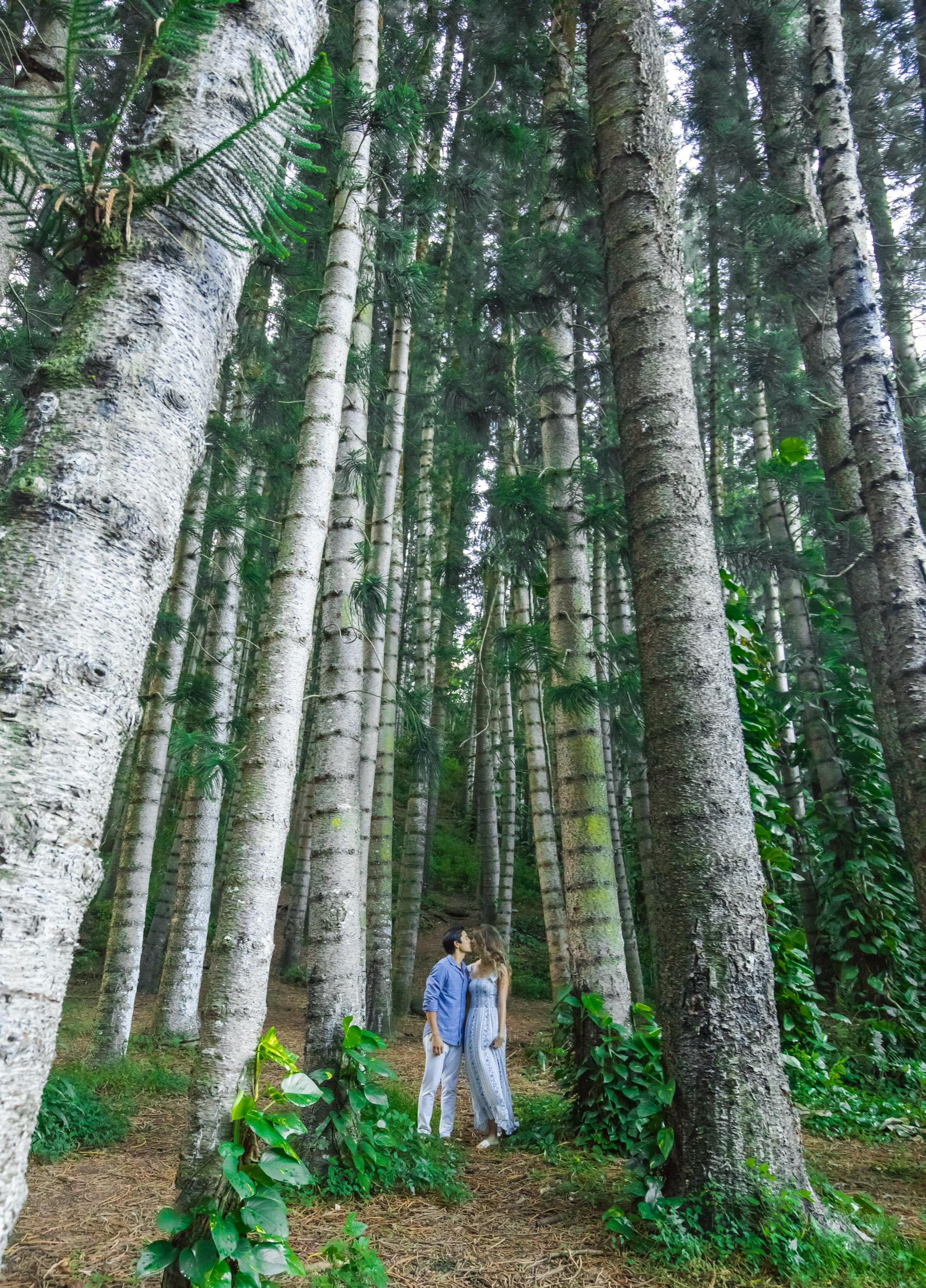 The Wedding Website of Tessa Goodwin and James Chan