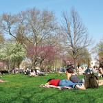 McCarren Park