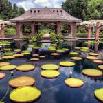 Huntsville Botanical Garden