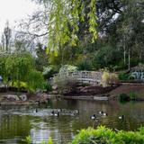 Regent's Park