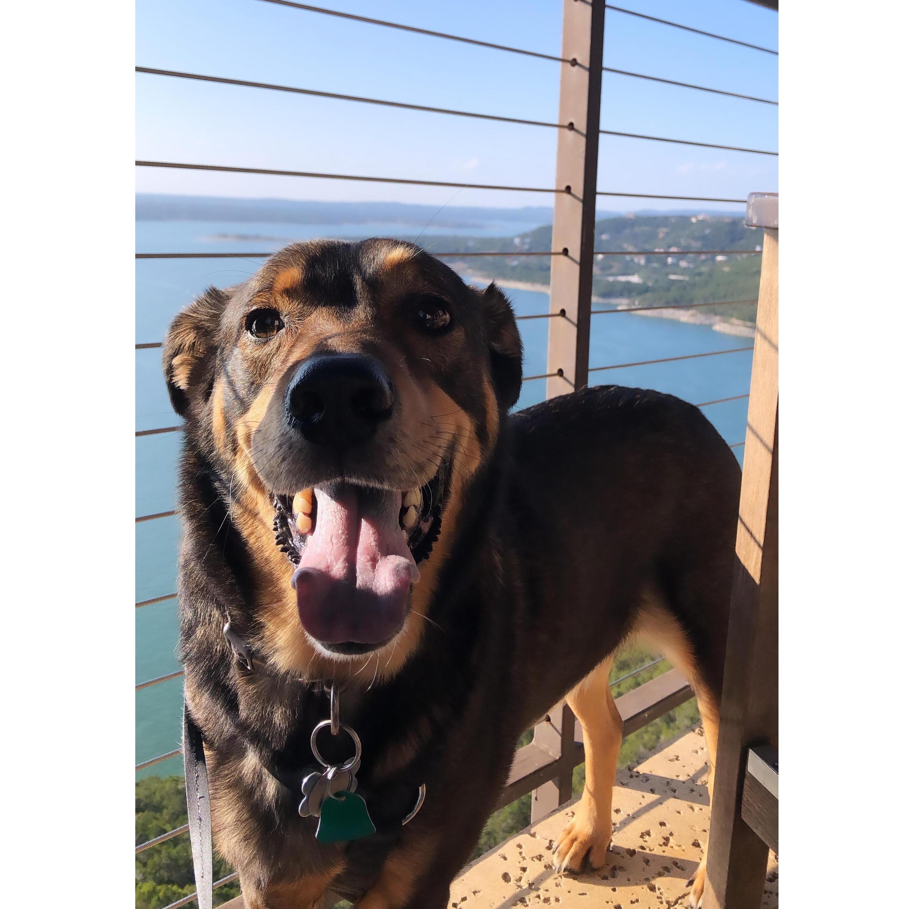 Charlie loves our Texan adventures