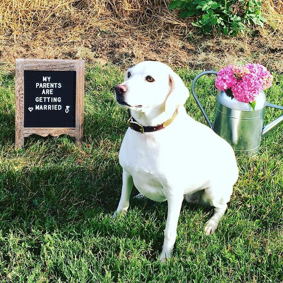 Josey is very excited that her parents are getting married-- She's been waiting for this day for quite awhile now.
