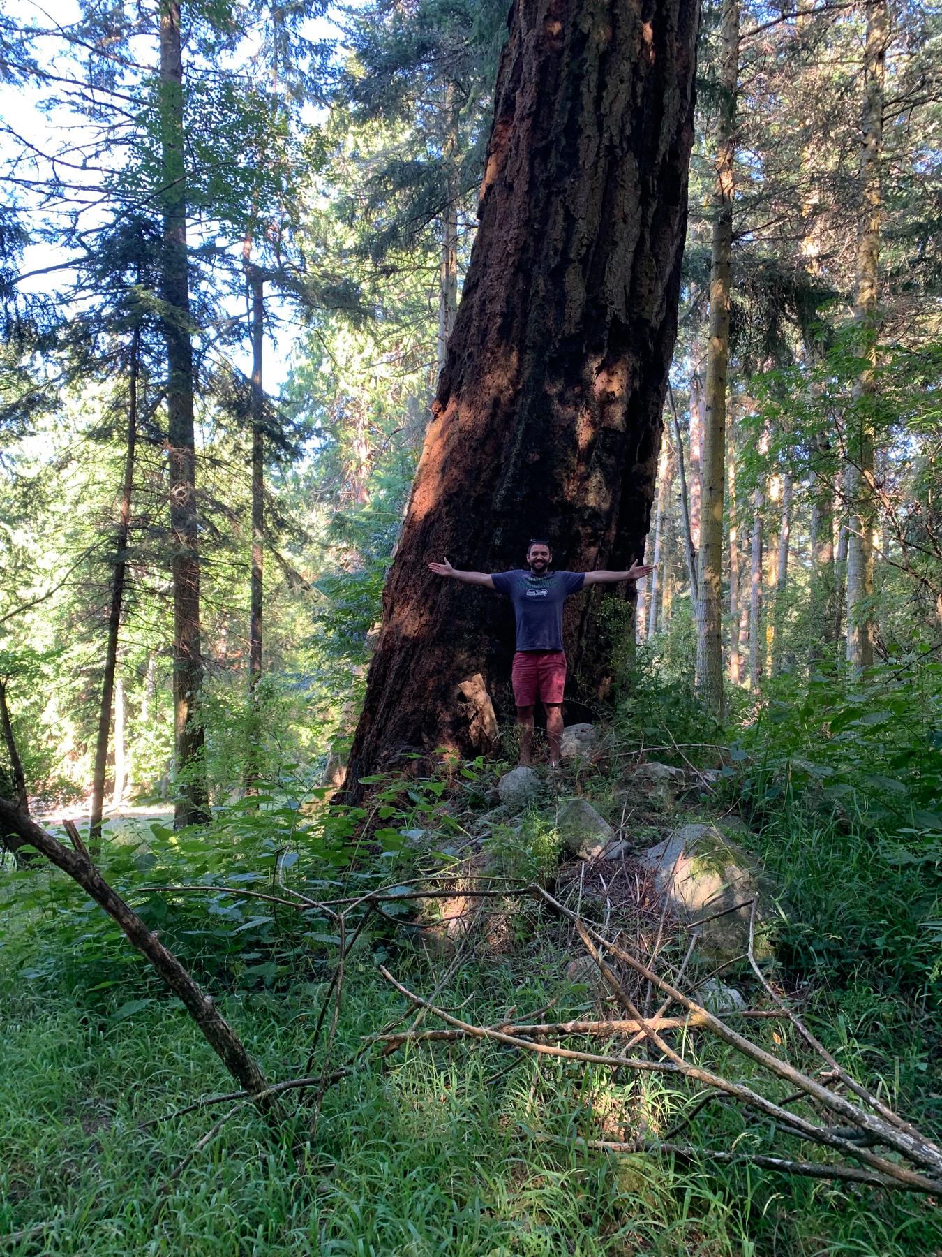 And admiring the landscape
…
San Juan Islands, Washington.