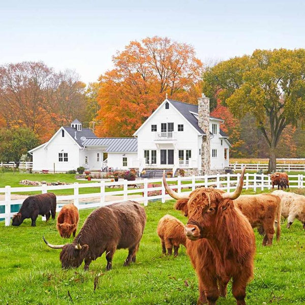 Future Home