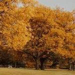 Hiking Trails around Woodcliff Hotel