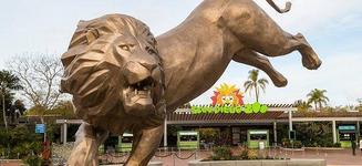 The San Diego Zoo