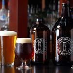 Triumph Brewing Company