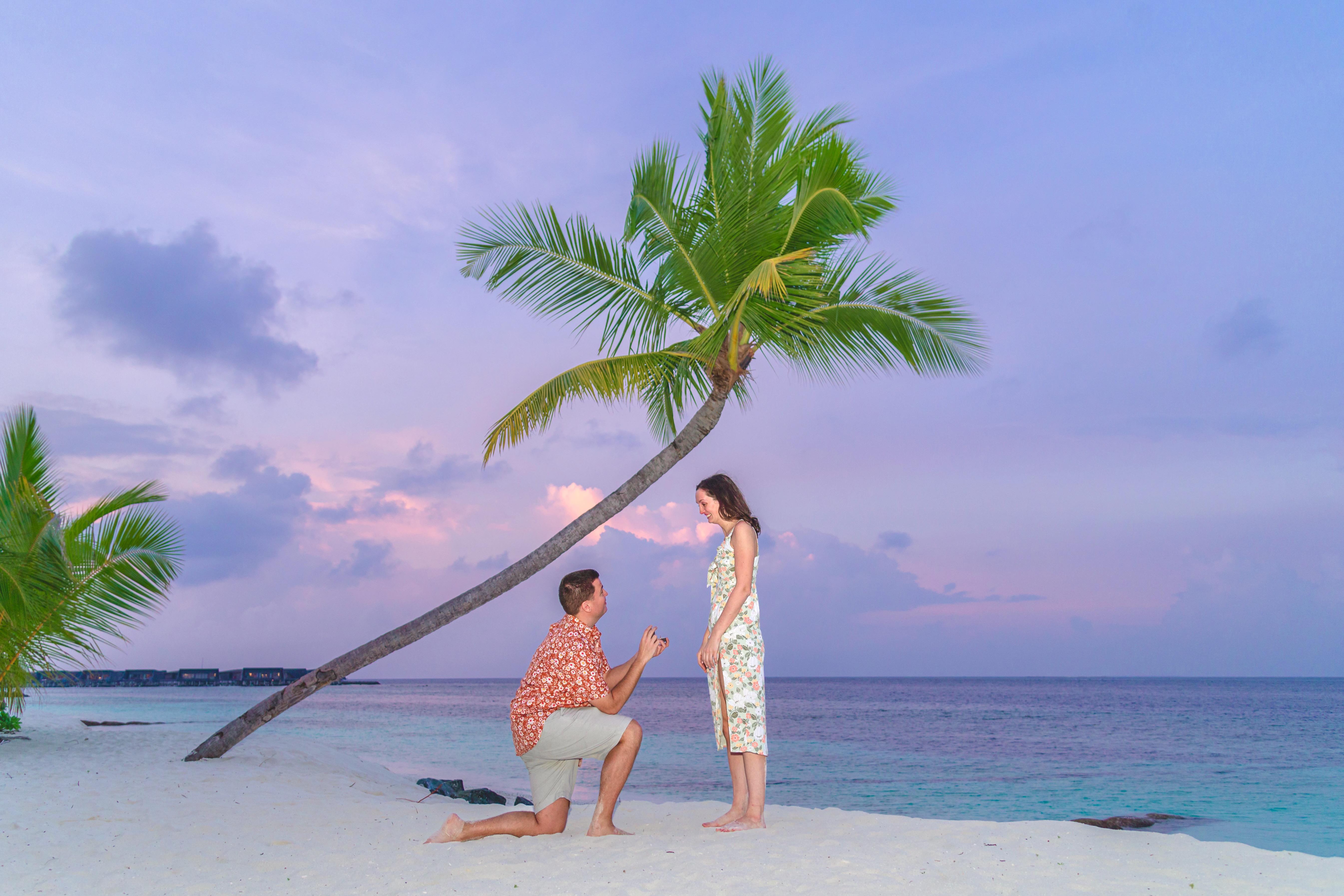The Wedding Website of Andrew Paulsen and Katie Paulsen