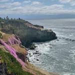 La Jolla Cove