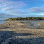 Bar Island Land Bridge