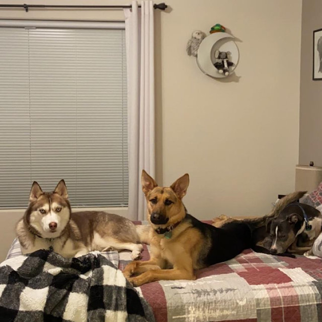 Upgrade Our Bed