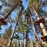 Tahoe Treetop Adventure Parks