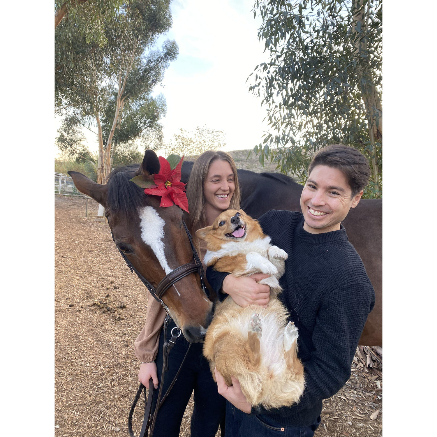First Christmas Engaged - Christmas Cards