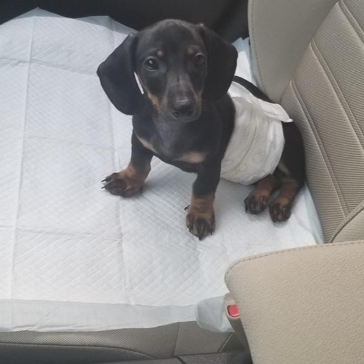 Leo's first diaper