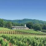 Barboursville Vineyards